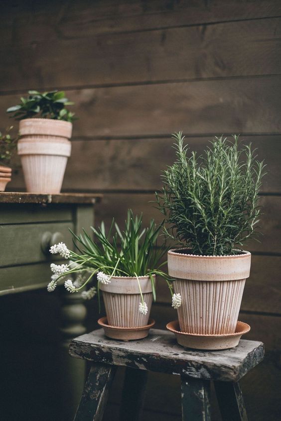 گلدان-سفالی